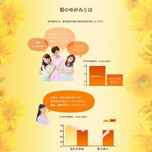 HIMAWARI ひまわり オイルイン シャン...の詳細画像2