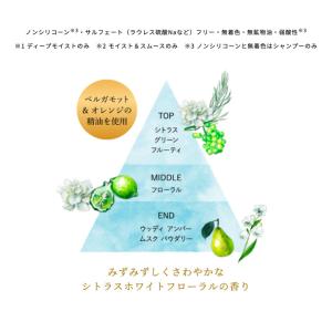 トライアル ジュレームiP タラソリペア ディ...の詳細画像3