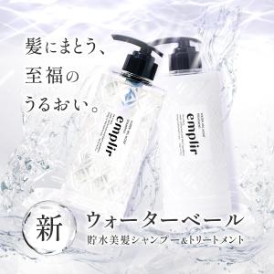 シャンプー トリートメント MD アンプリール...の詳細画像1