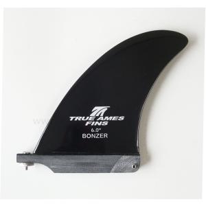TRUE AMES FIN 6.5