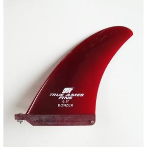 TRUE AMES FIN 6.5