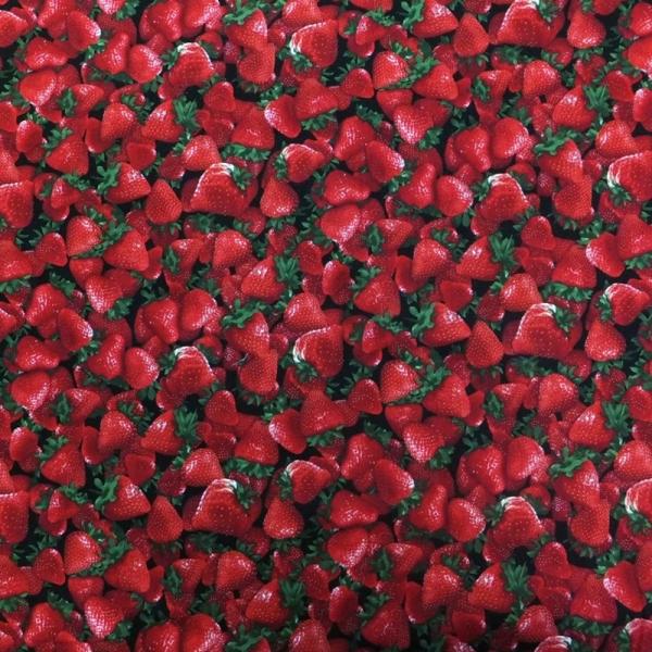 Strawberries ストロベリー Timeless Treasures  (USAコットン 生...