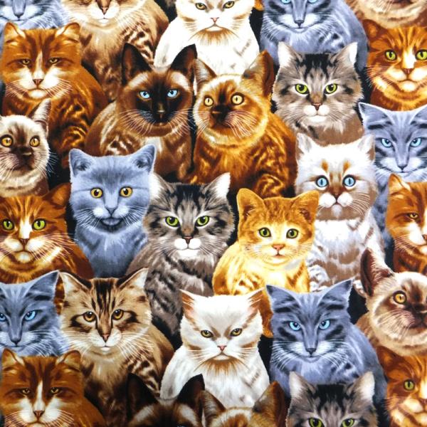 CATS MICHAEL SEARLE  (USAコットン 生地 布)