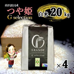 新米予約 令和8年産 山形県庄内産 つや姫 白米20kg(5kg×4) Ｇセレクション 特別栽培米