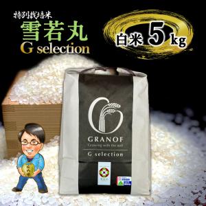 新米 令和8年産 雪若丸 白米5kg Ｇセレクション 特別栽培米 山形県庄内産