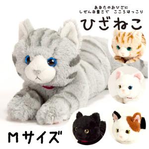 ひざねこ　エキゾチック　Sサイズ グレー・クリーム　2匹セット　ペア サンレモン ひざねこ Sサイズ 巛 ぬいぐるみ 1歳 2歳 3歳 4歳 5歳 6歳