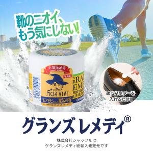 グランズレメディ モアビビちゃんの魔法の粉 国...の詳細画像1