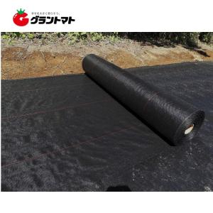 防草シート 1m×50m×厚さ約0.4mm 約...の詳細画像1