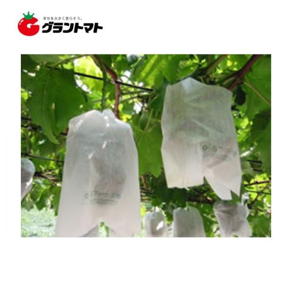 ぶどう袋Ｈ1号205×300 3000枚 (100枚×30セット) 箱売り