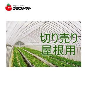 キリヨケバーナル屋根用切り売り　0.15mm×330cm 昭和パックス【ビニールハウス】【受注生産】【取寄商品】｜grantomato