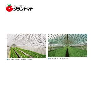 キリヨケバーナル 0.15mm×650cm 切売1m  農POビニール 昭和パックス 【受注生産】【取寄商品】｜grantomato