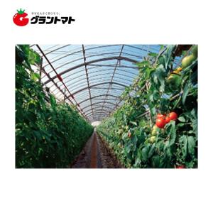 晴天 屋根用 0.15mm×400cm 切り売り1m ノンキリーあすか アキレス農ビ