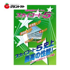 スカイコート5　中接　0.1×700×12　3間×5間用屋根ビニール　タキロンシーアイ【ビニールハウス】｜grantomato