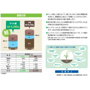 エースマット30枚入り Nタイプ(一般用) 水...の詳細画像4