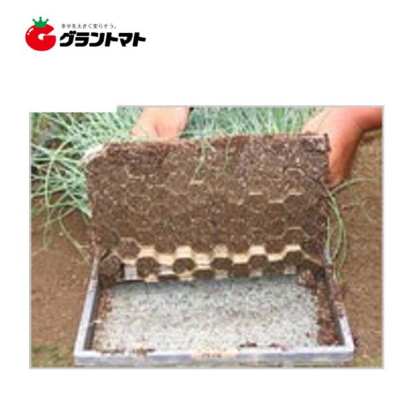 ネトマール２ 300枚入 育苗用敷紙 日本甜菜製糖【取寄商品】