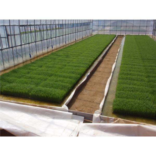プール育苗シート 0.26ｍｍ2.7ｍ×20ｍ 水稲 育苗