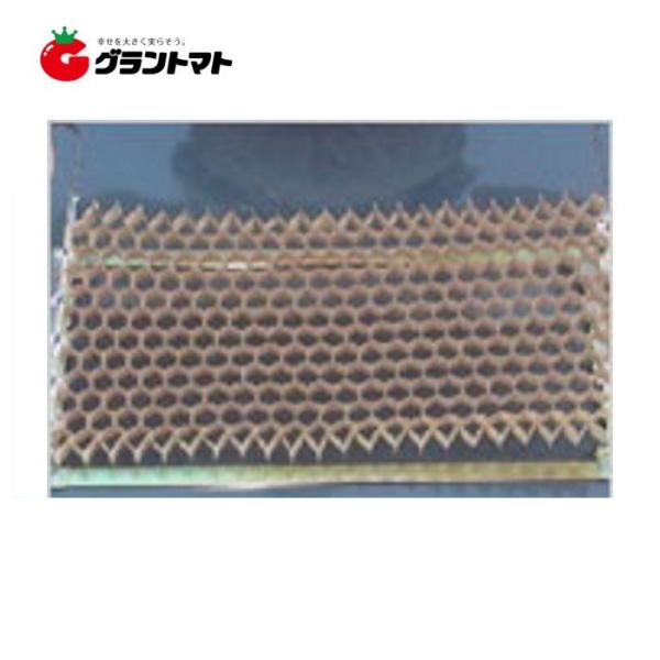 チェーンポット CP-303 箱売り150冊いり 播種育苗用資材 日本甜菜製糖（ニッテン）【取寄商品...