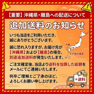播種育苗用資材 ロングピッチチェーンポット L...の詳細画像3