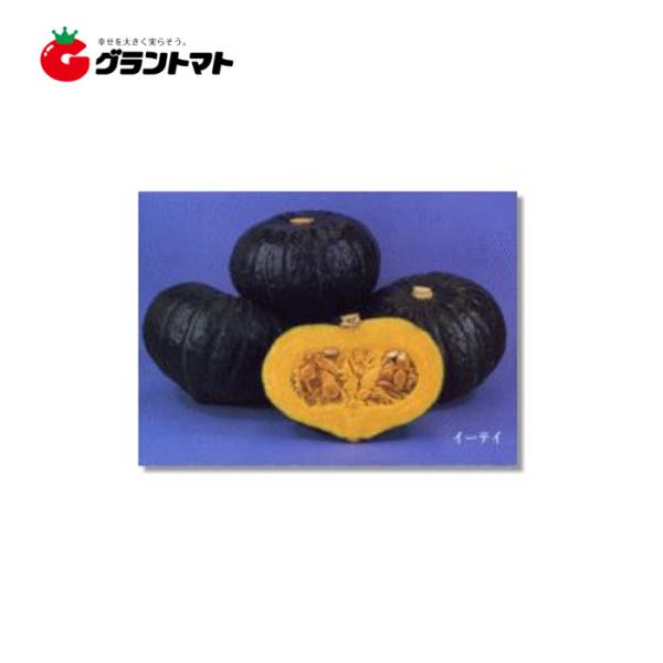 かぼちゃ イーティー 12粒 日本園芸生産研究所【ゆうパケット可】