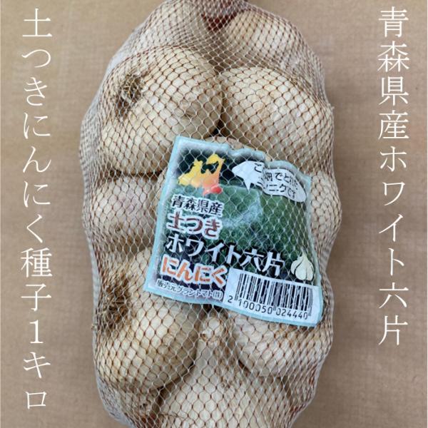 ホワイト六片ニンニク種子 1kg 土つき【青森県産】