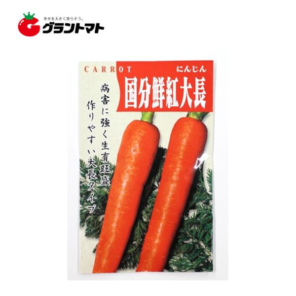 Ａ号国分大長人参