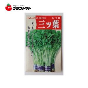 三つ葉 種子の商品一覧 通販 Yahoo ショッピング