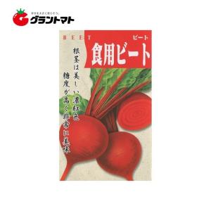 野菜種子 デトロイトダークレッド 15ml【メール便】｜grantomato