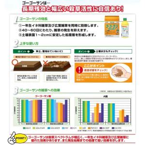 ゴーゴーサン微粒剤F 3kg 箱売り8袋入り ...の詳細画像1