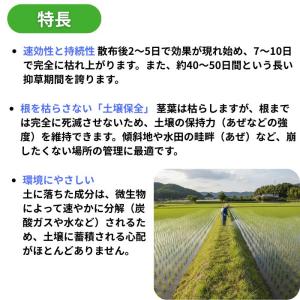 農耕地用 除草剤 バスタ液剤 5L グルホシネ...の詳細画像3
