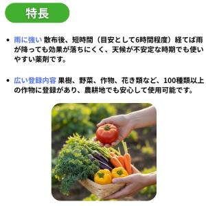 農耕地用 除草剤 バスタ液剤 5L グルホシネ...の詳細画像4