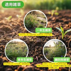 バスタ液剤 100L 茎葉浸透除草剤 BASF...の詳細画像5