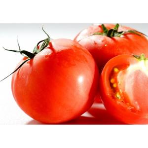 トマトトーン 20ml 箱売り100個入り ア...の詳細画像1