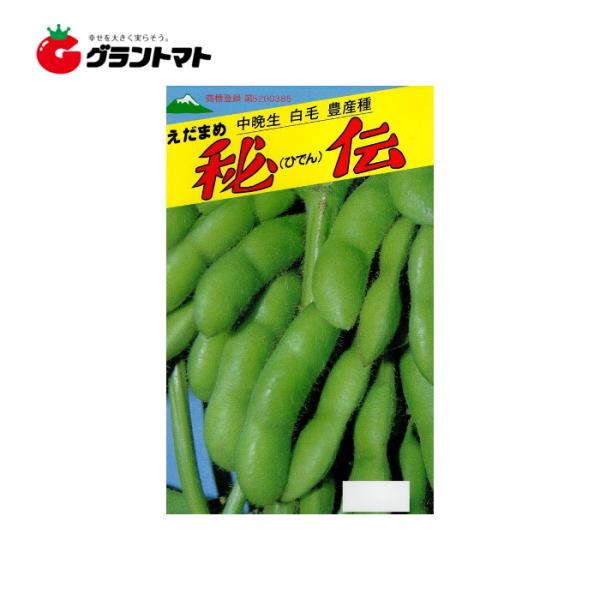 秘伝枝豆 40ml 中晩生 白毛 農産種 佐藤政行