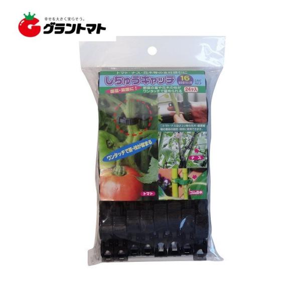 しちゅうキャッチ 16mm用 24個入り(黒) 誘引資材 シーム