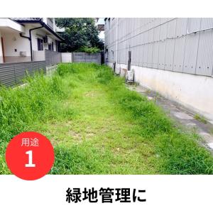 デゾレートAZ粒剤 5kg×4袋 ケース販売 ...の詳細画像1