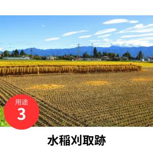 デゾレートAZ粒剤 5kg×4袋 ケース販売 ...の詳細画像3
