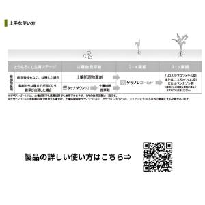 ゲザノンゴールド 1L とうもろこし用除草剤 ...の詳細画像1
