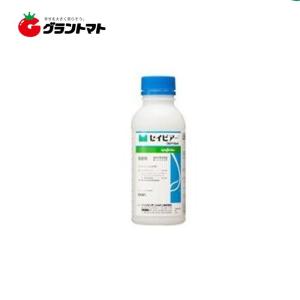 セイビアーフロアブル20 500ml 対灰色かび・菌核病殺菌剤 農薬 シンジェンタジャパン【取寄商品】｜grantomato