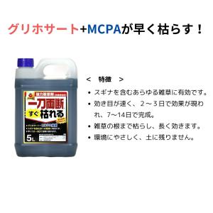 一刀両断すぐ枯れる 除草剤 20L 大容量 5...の詳細画像1