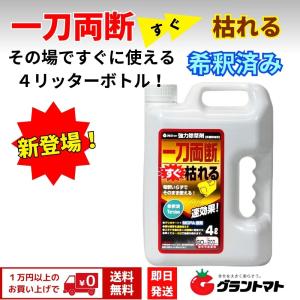 除草剤 一刀両断すぐ枯れる 希釈済み 40倍 ...の詳細画像1
