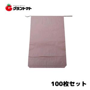 米袋 新袋 無地 30kg パック売り100枚 3重構造の頑丈な紙袋｜grantomato