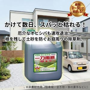 一刀両断草キラー 5L×4本 グルホシネート1...の詳細画像2