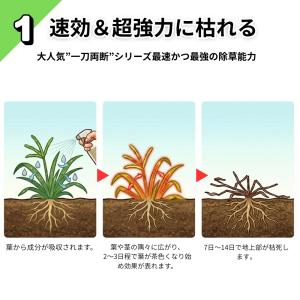 一刀両断草キラー 5L×4本 グルホシネート1...の詳細画像3