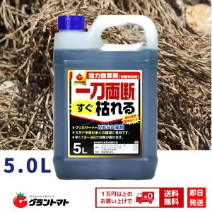 一刀両断すぐ枯れる 20L 速攻タイプ 除草剤...の詳細画像4
