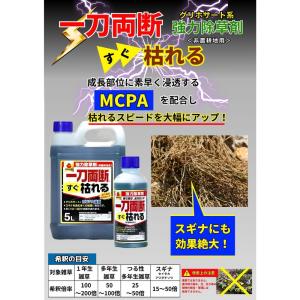 一刀両断すぐ枯れる 20L 速攻タイプ 除草剤...の詳細画像5