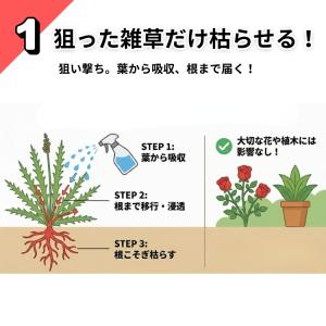 一刀両断 除草剤 500ml×20本 箱売り ...の詳細画像3