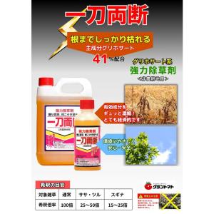 一刀両断 除草剤 500ml×40本 箱 売り...の詳細画像3