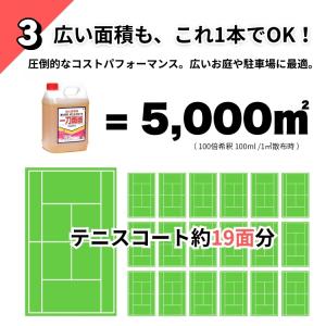 一刀両断 5L 箱売り4本入り 【グリホサート...の詳細画像5