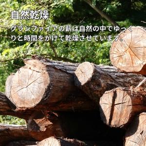 国産薪 10kg(5kg×2) キャンプ 焚火...の詳細画像3