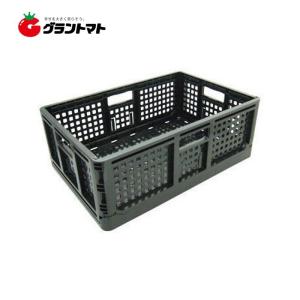 10個セット) 日本製 AZ カラー 折りたたみコンテナー チョコ 折り畳み